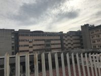 Sanità, lo sfogo di un paziente del Veneziale di Isernia: «Lasciati per giorni al Pronto soccorso»