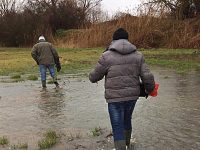 Carpino: il Governo invita la Regione a intervenire