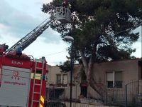 Tempesta di vento abbatte alberi e recinzioni sulla costa