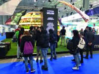 Il Molise torna alla Borsa del turismo