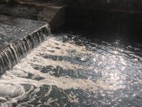 Rava, ancora schiuma nel torrente: controlli di Forestali e Arpa Molise