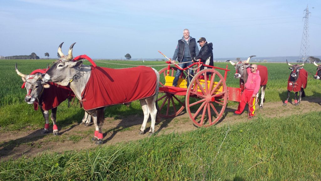 Gli Animalisti europei contro Toma e Carresi