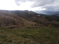 Centrale a Biomasse, la Sprintendenza boccia l’impianto sulla SP 74