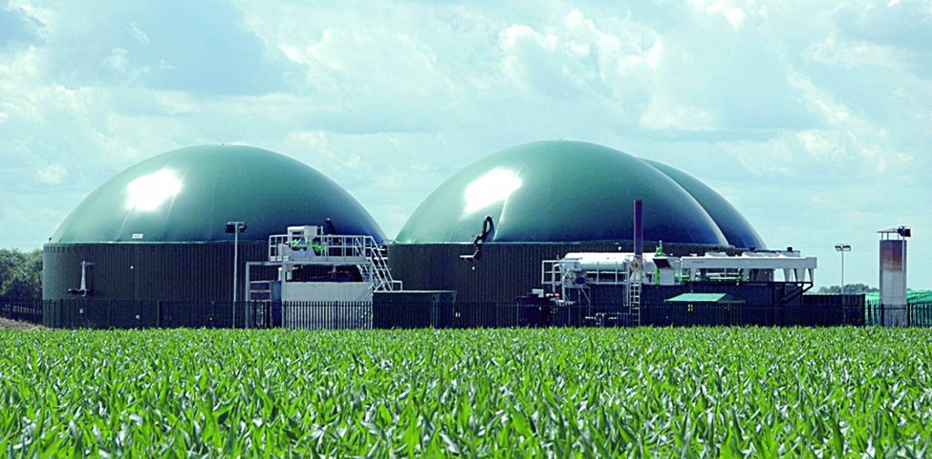 Biomasse ad Agnone, «nuove possibilità di guadagno per le aziende agricole e gli allevamenti»