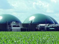 Biomasse ad Agnone, «nuove possibilità di guadagno per le aziende agricole e gli allevamenti»