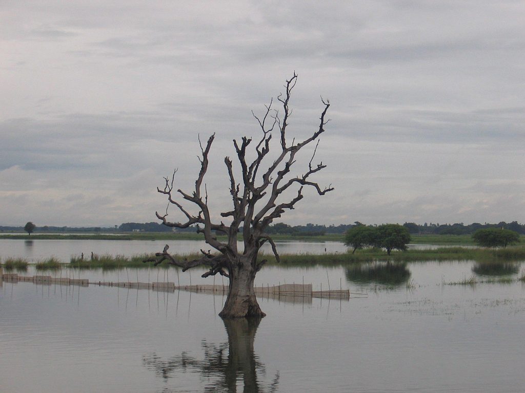 Anas accorpata, editoria al collasso e sanità nel guado: stanno spegnendo il Molise
