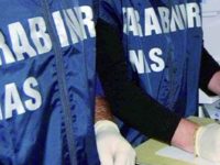 Due caseifici artigianali chiusi dai militari del Nas nel Basso Molise