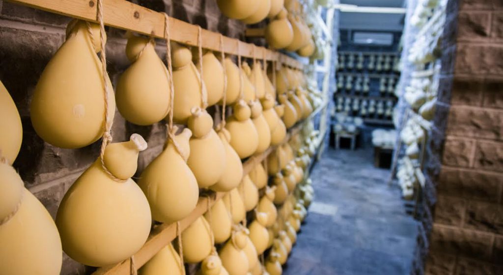 Quando l’Expo bistrattò sua maestà il caciocavallo