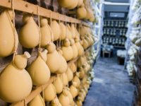 Quando l’Expo bistrattò sua maestà il caciocavallo