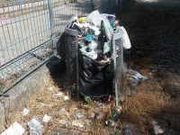 Campobasso, parco di via Alfieri come una giungla selvaggia: residenti esasperati