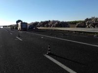 Tragedia sull’A14, auto si ribalta più volte: muore bimba di 10 anni