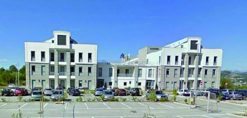 Informatica, all’Unimol il primo Summer Camp dedicato alle ragazze