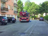 Il maltempo investe la provincia di Isernia: alberi abbattuti dal vento