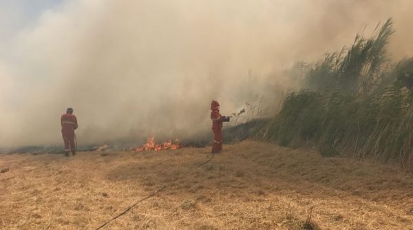 Rischio incendi, dal 15 luglio vietato accendere fuochi
