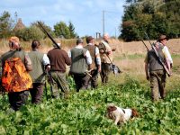 Approvato il calendario venatorio: dal 15 settembre parte la caccia in Molise