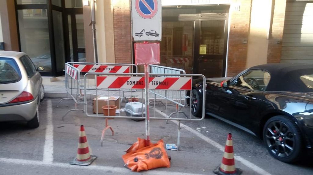 «Non toccare mamma gatta che allatta», a Termoli la Colaci fa transennare lo stallo