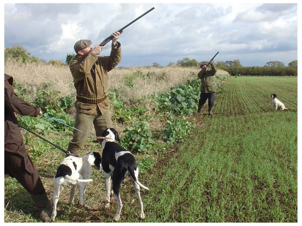 Caccia, la giunta dà l’ok a regolamento e calendario: si parte il 15 settembre