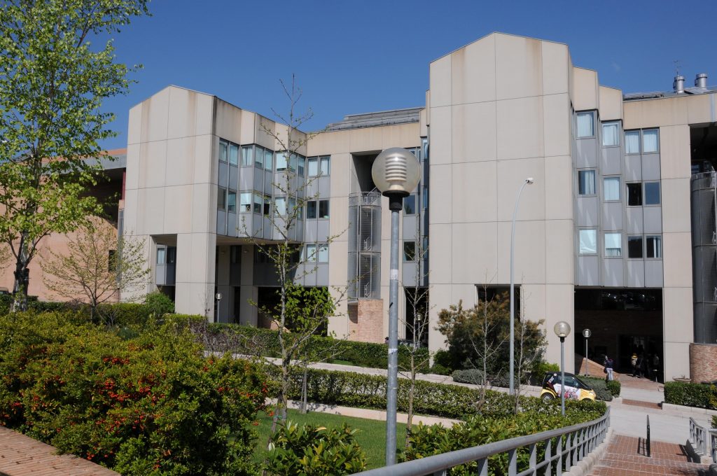 Viaggi gratis se sei studente Unimol: ultimi giorni per immatricolarsi