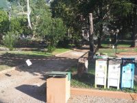 Alberi pericolosi, a Venafro ne sono stati abbattuti 17