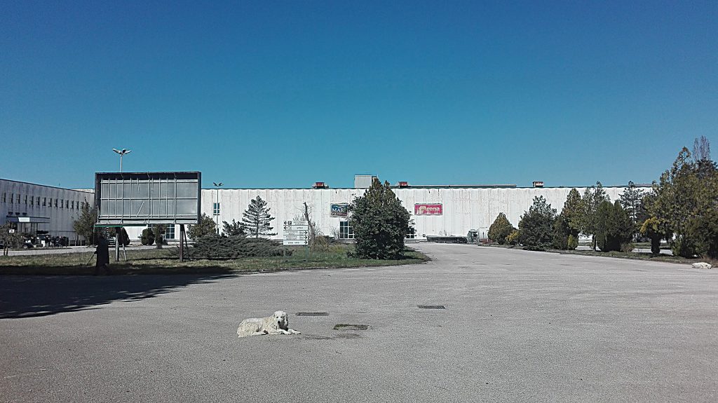 Vertenze, Cis e Zes: la Cgil lancia l’allarme