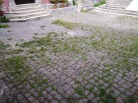 Erbacce nel centro storico di Venafro, gli abitanti sono stufi dell’incuria