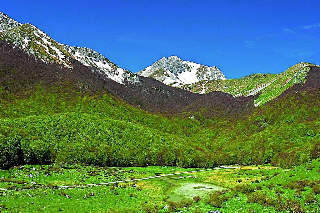 Pizzone, cerca legna per il barbecue e viene colpito da un ramo: 56enne in prognosi riservata