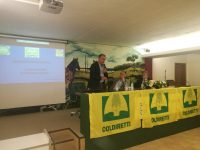 Campagna olearia: produzione in calo, ma si punta sulla qualità