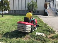 Isernia, aree verdi: alla manutenzione ci pensa la Lai