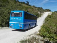 Passaggio dei bus sulla ex Istonia, incontro tra Ricci e Marcovecchio
