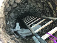 Imprigionato per tre giorni in un pozzo, ora il vitellino sta bene