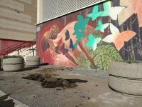 Isernia, murale dell’auditorium danneggiato da un’auto