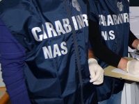 Canile abusivo, scatta il sequestro da parte dei Carabinieri del Nas