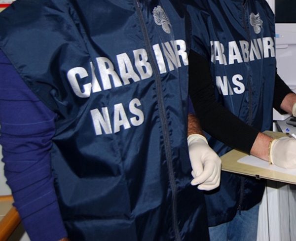 Canile abusivo, scatta il sequestro da parte dei Carabinieri del Nas