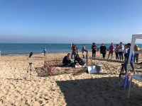 Missione compiuta a Campomarino, le tartarughine in mare