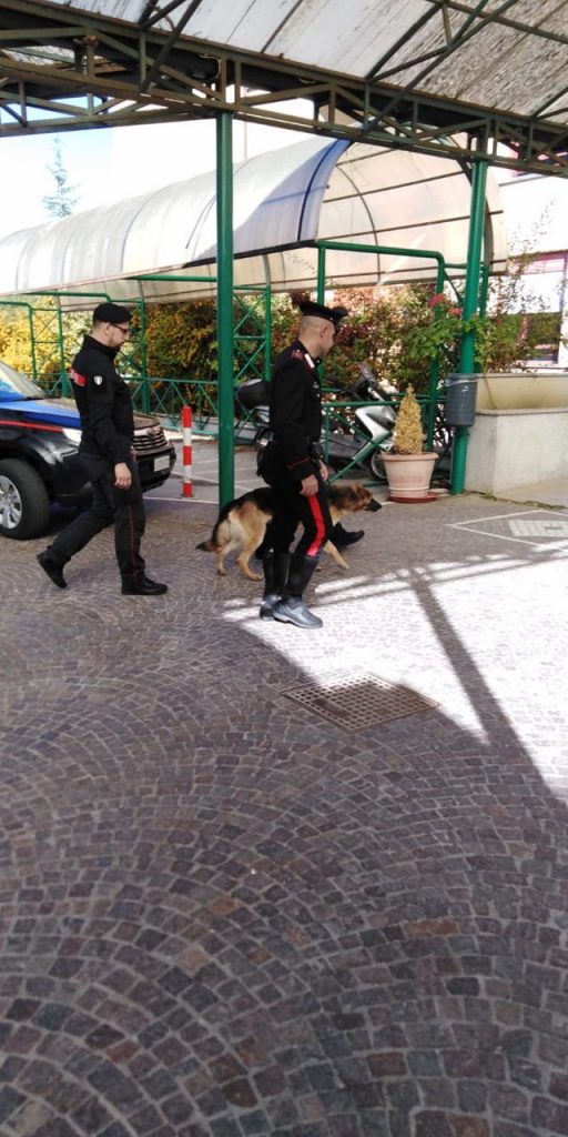 Getta la marijuana dalla finestra della scuola, studente isernino beccato dai Carabinieri