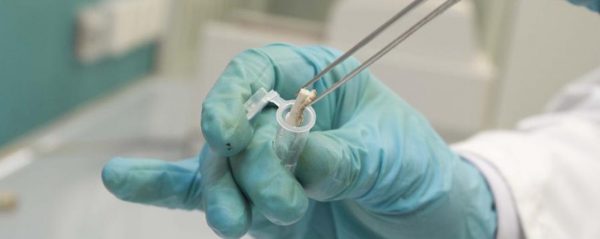 Tenta di scassinare un salone di bellezza a Campobasso, ‘inchiodato’ dopo 3 anni attraverso il Dna