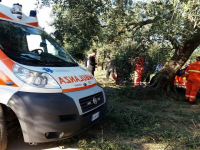 Muore mentre raccoglie le olive, aperto un fascicolo