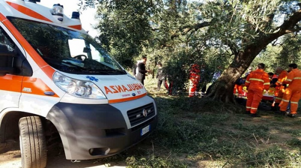 Muore mentre raccoglie le olive, aperto un fascicolo