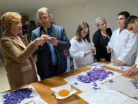 «Produciamo zafferano», vera eccellenza all’Itag San Pardo di Larino