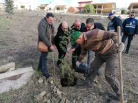 «Gli alberi degli angeli» di San Giuliano di Puglia
