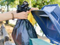 Servizio migliorato e tante agevolazioni: ecco perché a Isernia la Tari costa meno