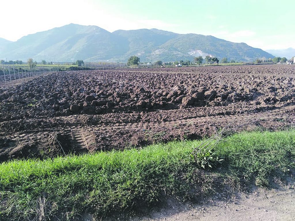 Turbogas, comitati pronti alla grande manifestazione di piazza
