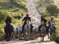 La transumanza diventa patrimonio dell’umanità