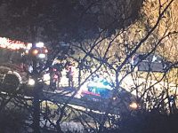 Incidente sulla statale 17, investe cinghiale e causa tamponamento a catena