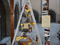 “Un albero a regola d’arte”, a Riccia il concorso che accorcia le distanze e promuove l’integrazione