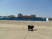 Pantera nera e psicosi tra video e fotomontaggi