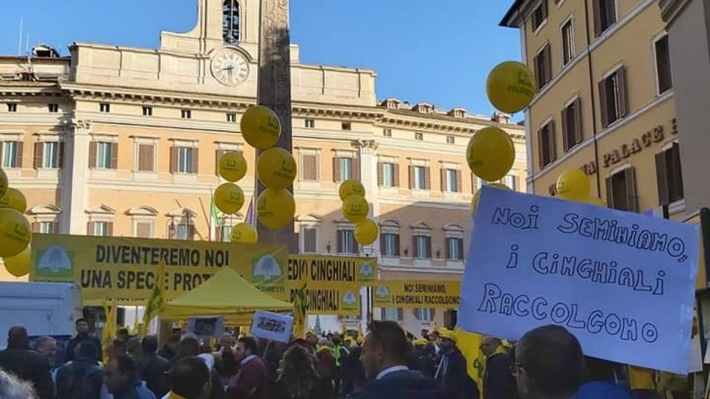 Emergenza cinghiali, tutto tace Coldiretti pronta alla mobilitazione