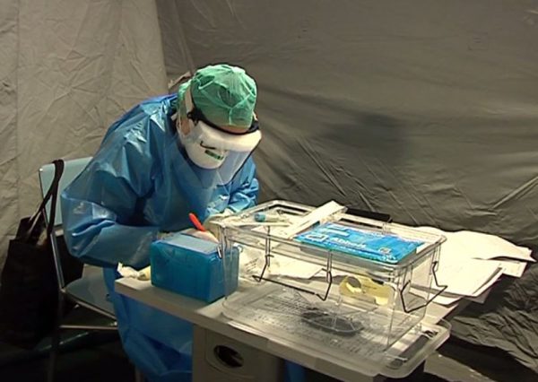 Nessun caso di Covid al ‘Veneziale’: negativi i tamponi dei sanitari