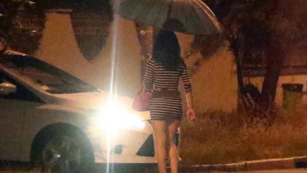 «Stavo raccogliendo solo degli asparagi»