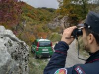 Uccidono un capriolo a Sessano del Molise, bracconieri incastrati grazie alle foto-trappole